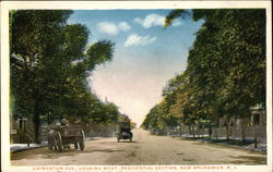 Livingston Avenue, Looking West, Residential Section New Brunswick, NJ Postcard Postcard Postcard