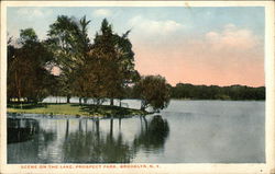 Scene on the Lake, Prospect Park Brooklyn, NY Postcard Postcard Postcard