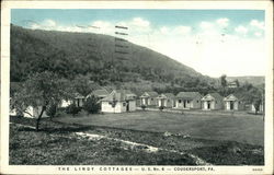 The Lindy Cottages Coudersport, PA Postcard Postcard Postcard