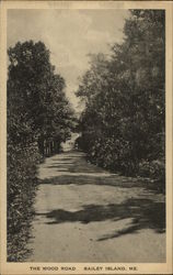 The Wood Road Postcard