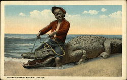 Riding a Bayano River Alligator Black Americana Postcard Postcard Postcard