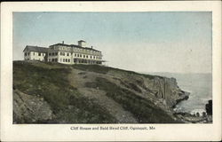 Cliff House and Bald Head Cliff Postcard