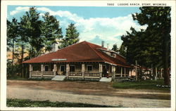 Lodore Ranch and Grounds Postcard