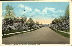 Spring Time National Sanatorium Johnson City, TN Postcard Postcard Postcard