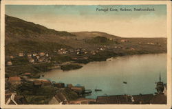 The Harbour Portugal Cove, NL Canada Newfoundland and Labrador Postcard Postcard Postcard