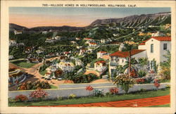 Hillside Homes in Hollywoodland California Postcard Postcard Postcard