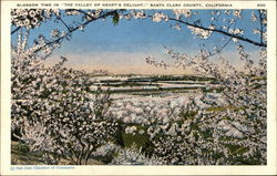 Blossom Time in "The Valley of Heart's Delight", Santa Clara County California Postcard Postcard Postcard