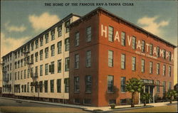 the Home of the Famous Hav-A-Tampa Cigar Florida Postcard Postcard Postcard