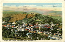 Bird's Eye View of City Looking North Postcard