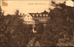 Tree Line View of The Elms Goffs Falls, NH Postcard Postcard Postcard