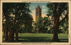 Iowa State College Campus Postcard