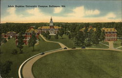 John's Hopkins University Campus Postcard