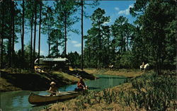 Fort Wilderness, Walt Disney World Florida Postcard Postcard Postcard