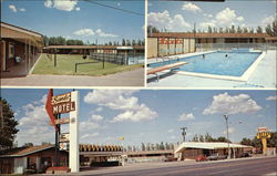 Sands Motel and Denny's Coffee Shop Clovis, NM Postcard Postcard Postcard