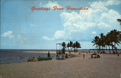 Greetings From Homestead Postcard