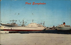 Port Everglades Fort Lauderdale, FL Postcard Postcard Postcard