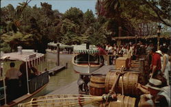 Jungle River Cruise Anaheim, CA Disney Postcard Postcard Postcard