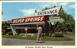 At Famous Florida's Silver Springs Postcard