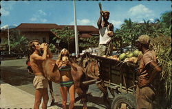 Tourists Drinking Fresh Coconut Water Postcard