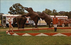 Circus World Museum Baraboo, WI Postcard Postcard Postcard