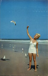 Woman Feeding Seagull Postcard