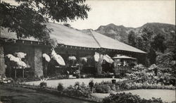 The Waioli Tea Room Postcard