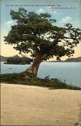 The Old Oak, the Island, and Mile Point on Meredith Bay Postcard