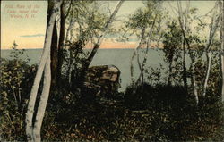 Old Man of the Lake near the Weirs New Hampshire Postcard Postcard Postcard