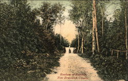 Roadway to Rothaway Postcard