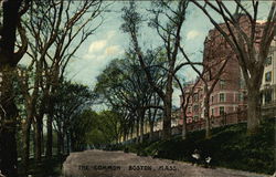 The Common Boston, MA Postcard Postcard Postcard