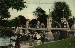 Bridge in Public Garden Boston, MA Postcard Postcard Postcard