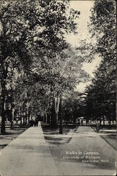 University of Michigan - Walks in Campus Postcard