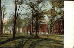 Colby College Postcard