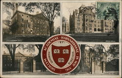 Harvard University Postcard