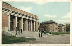 Cornell University Postcard