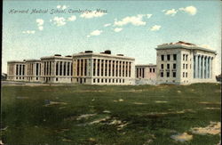 Harvard Medical School Postcard