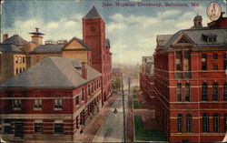 John Hopkins University Baltimore, MD Postcard Postcard Postcard