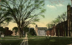 The Campus at Yale Universtiy New Haven, CT Postcard Postcard Postcard