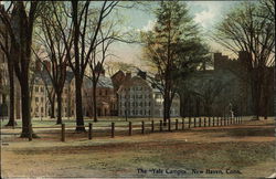 The "Yale Campus" New Haven, CT Postcard Postcard Postcard