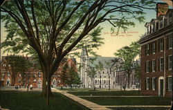 The Campus at Yale Universtiy New Haven, CT Postcard Postcard Postcard