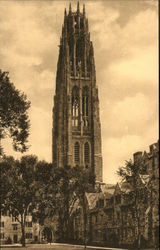 The Harkness Memorial Tower New Haven, CT Postcard Postcard Postcard