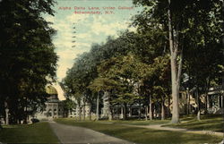 Alpha Delta Lane, Union College Schenectady, NY Postcard Postcard Postcard