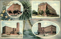 Some Tamos Clear Havana Cigar Factories Cuba Postcard Postcard Postcard