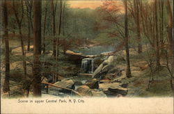 Upper Central Park Postcard