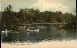 Swan Bridge at Central Park Postcard