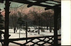 "Sleighing" Central Park Postcard