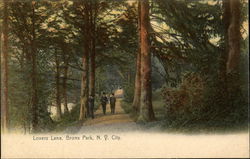 Lovers' Lane in Bronx Park New York, NY Postcard Postcard Postcard