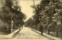 Swissvale Avenue, West Edgewood, PA Postcard Postcard Postcard