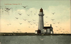 Sea Gulls Flying around Lighthouse Oswego, NY Postcard Postcard Postcard