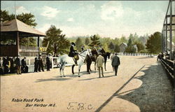 Robin Hood Park Postcard